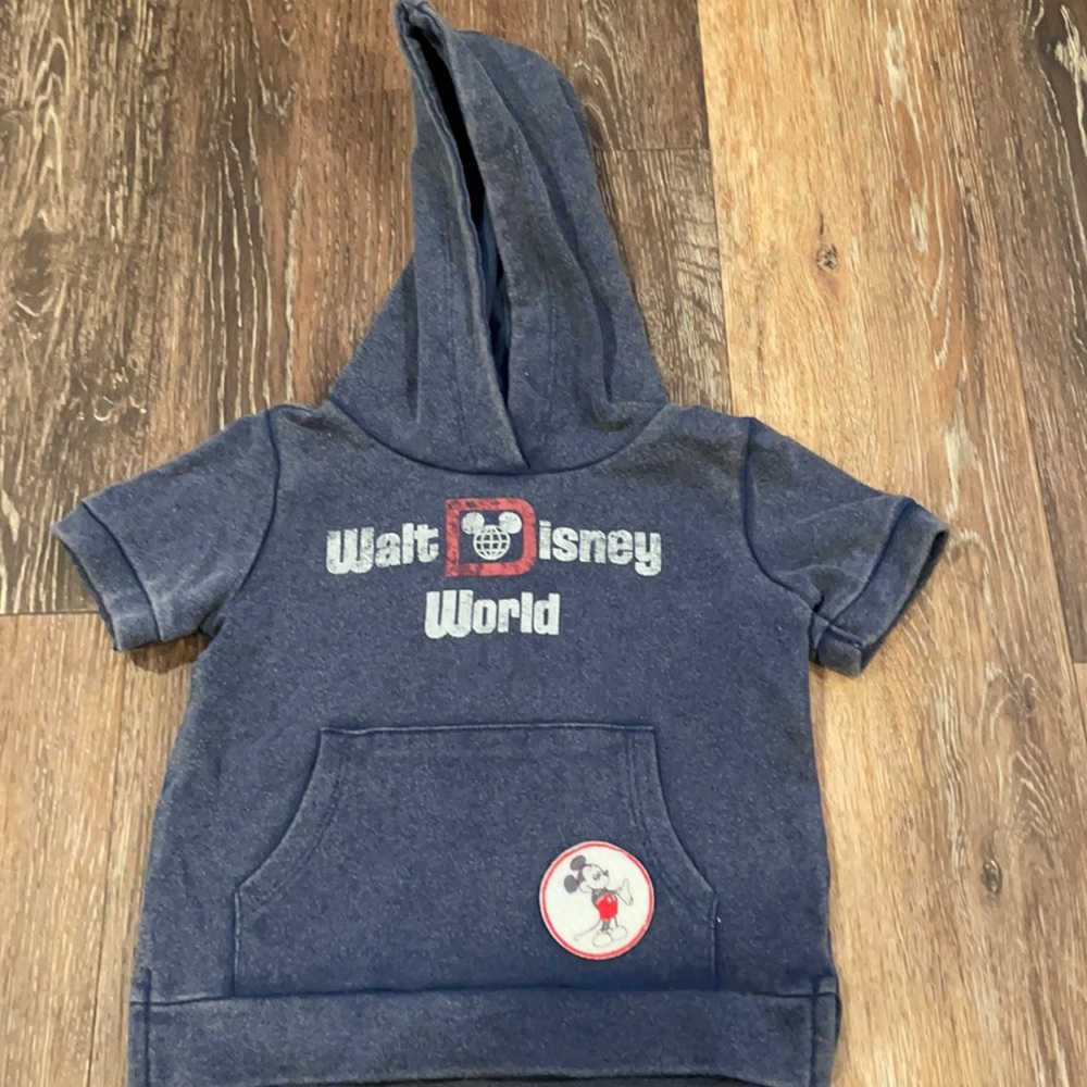 Disney hoodie - 18 months